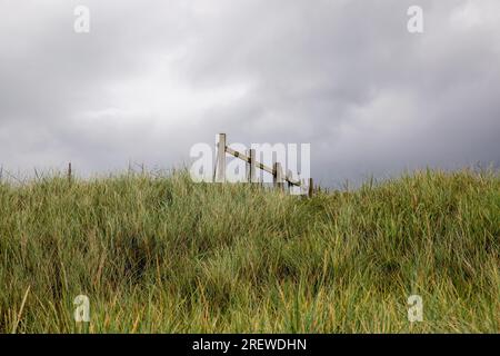 Old timber fence section and grass against an overcast sky at a coastal path verge location Stock Photo