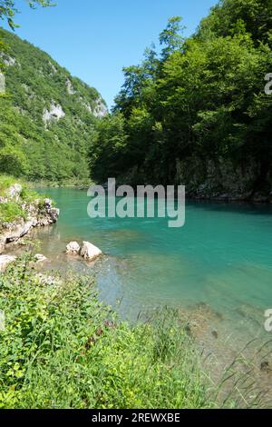 View of Tara River canyon near Durmitor National Park in Montenegro. Nature and wilderness in the Balkans Stock Photo