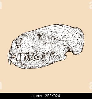 river otter skull head vector illustration Stock Vector