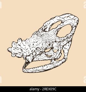 parson's chameleon skull head vector illustration Stock Vector