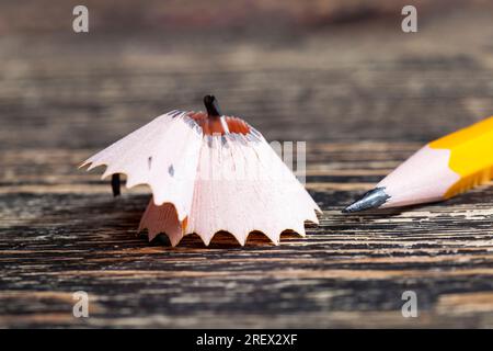 pencil shavings after sharpening, wood debris and parts of pencil lead after sharpening with a pencil sharpener, close up Stock Photo