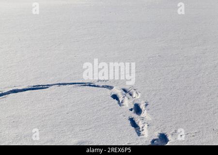 winter season with snow with damage, people walked through the snow and left footprints on it, footprints and dents in the snow after people passed th Stock Photo