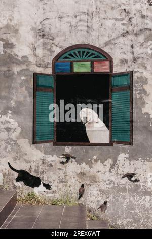 Thailand, Phang Nga March 2, 2023. Street art on the walls of the old center of Takua Pa. The dog looks out the window, and the cat hunts birds Stock Photo