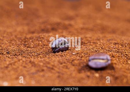 roasted beans are placed on ground coffee, ingredients that can be used to make a hot, invigorating coffee drink, coffee bean powder, and whole coffee Stock Photo