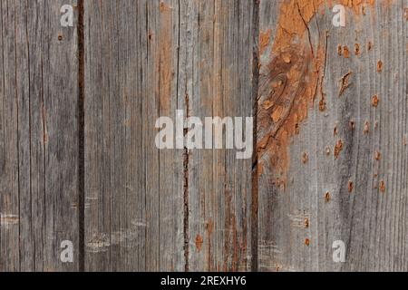 Texture of old wood. Grunge wooden surface with worn paint Stock Photo