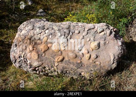 Conglomerate is a clastic sedimentary rock composed of rounded clasts (pudding stone). This photo was taken in Valle de Redondo, Palencia, Castilla y Stock Photo