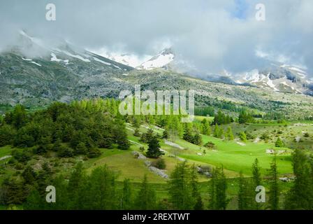 Rural landscape with fields and trees in front of Dévoluy massif in Hautes-Alpes in France. Stock Photo