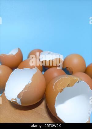 Fresh and natural egg shells on a bright blue background. Clean egg shells that can be used as organic fertilizer. Stock Photo