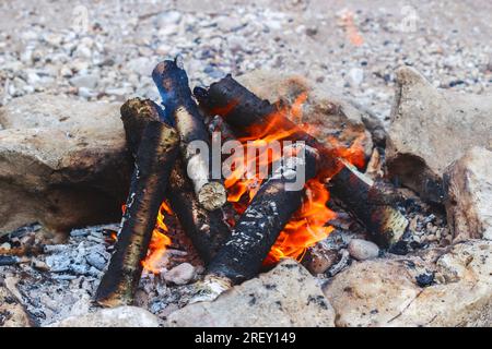 Birch logs burning in a fire Stock Photo