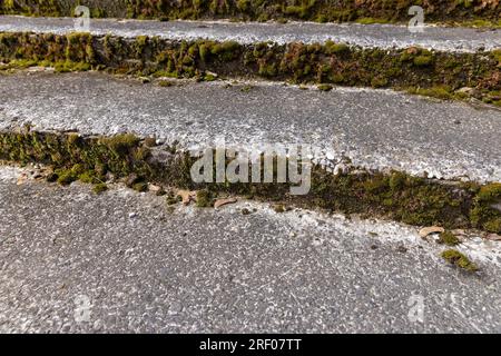 an old ruined concrete and stone staircase in the park, the details of the old staircase parts of which are damaged or destroyed Stock Photo