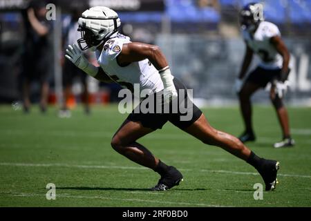 Baltimore Ravens linebacker Tavius Robinson (95) runs during an NFL  preseason football game against the Washington Commanders, Monday, August  21, 2023 in Landover. (AP Photo/Daniel Kucin Jr Stock Photo - Alamy