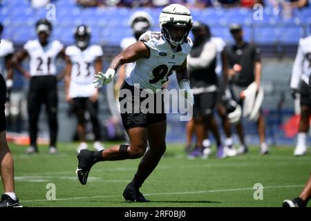 Baltimore Ravens linebacker Tavius Robinson (95) runs during an NFL  preseason football game against the Washington Commanders, Monday, August  21, 2023 in Landover. (AP Photo/Daniel Kucin Jr Stock Photo - Alamy