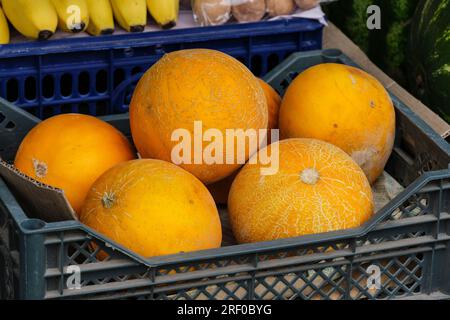 Kazakhstan, Bayseit. Melons for Sale in the Market. Stock Photo