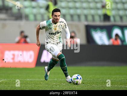 Palmeiras Foot Ball Club - Belo Horizonte-MG