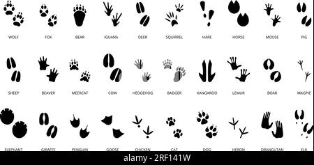 Black animal tracking footprints. Isolated wild animal paws prints, lizard, crocodile and cat. Reptile and bird foots, decent vector hunter set Stock Vector