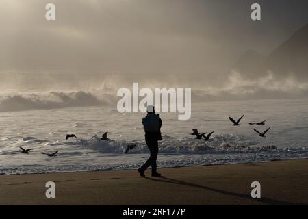 Quintay, Valparaiso, Chile. 29th July, 2023. A man walks along the seashore at sunset in Quintay, Chile, on a winter day. (Credit Image: © Matias Basualdo/ZUMA Press Wire) EDITORIAL USAGE ONLY! Not for Commercial USAGE! Stock Photo
