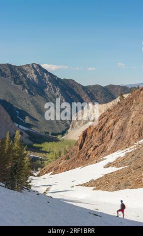 Solo hiker on snowy McGee Pass Trail, Mammoth Lakes, CA. Stock Photo