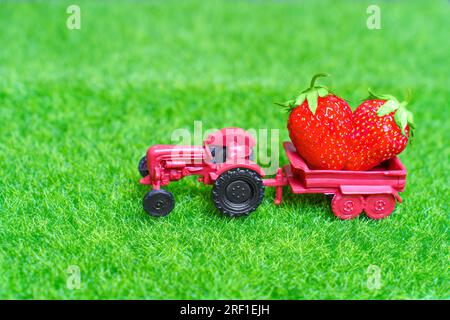 Tiny toy tractor carries two luscious strawberries in its cargo bed, set against a vibrant green lawn. Harvest season concept. Stock Photo