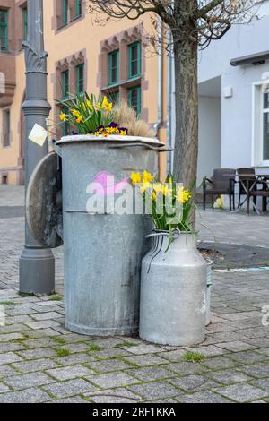 Garbage can and zinc bucket planted with flowers Stock Photo