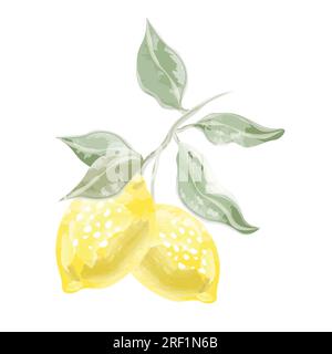 composition of two watercolor lemons with leaves Stock Vector