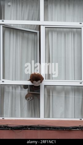 Teddy bear, soft toy at apartment window Stock Photo