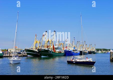Ships in the harbour, Oudeschild, Texel, Netherlands, fishing boat, crab cutter Stock Photo