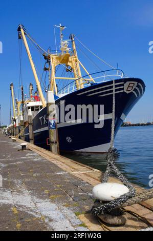 Fishing boat in the harbour, Oudeschild, Texel, Netherlands, fishing boat, crab cutter Stock Photo