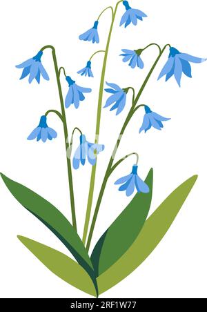 Snowdrops flowers in blossom, spring blooming Stock Vector