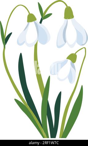 Spring flowers in blossom, flourishing snowdrops Stock Vector