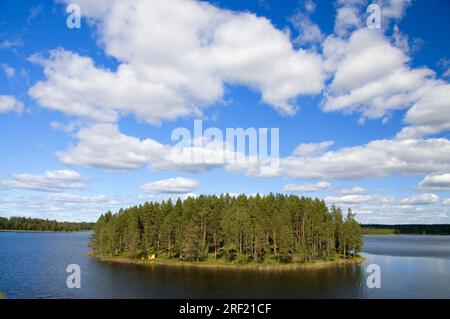 Island in the lake, view from the Linbanan cable car, Norsjo, Vasterbotten, Sweden, Norsjoe, Vaesterbotten Stock Photo