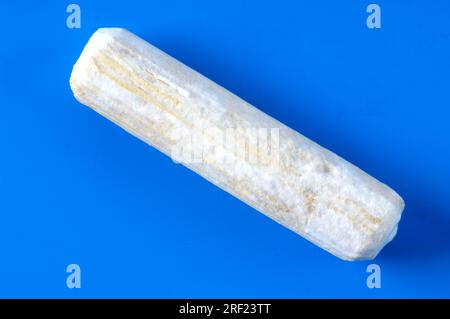 wooden dowel for mushroom cultivation Stock Photo Alamy