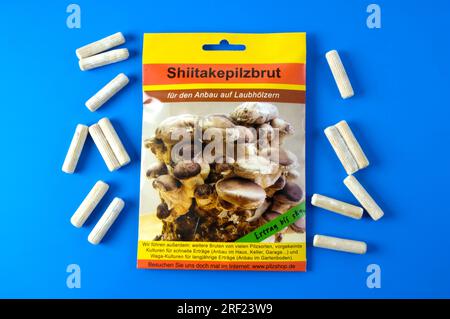 wooden dowel for mushroom cultivation Stock Photo Alamy