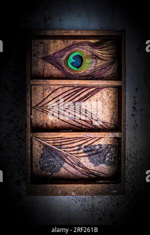 wooden box with peacock feathers on a metal background Stock Photo