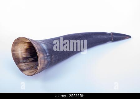 Antony Trivet Commercial Products Cow horns for drinking drinks like beer Stock Photo