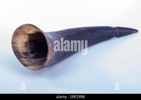 Antony Trivet Commercial Products Cow horns for drinking drinks like beer Stock Photo