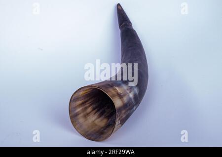 Antony Trivet Commercial Products Cow horns for drinking drinks like beer Stock Photo