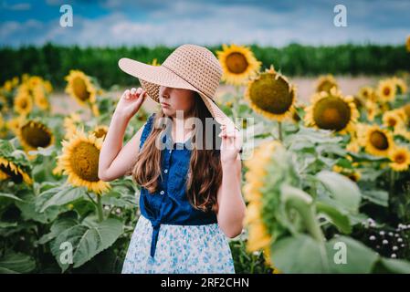 Girl Putting on a Straw Hat in a Sunflower Field Stock Photo