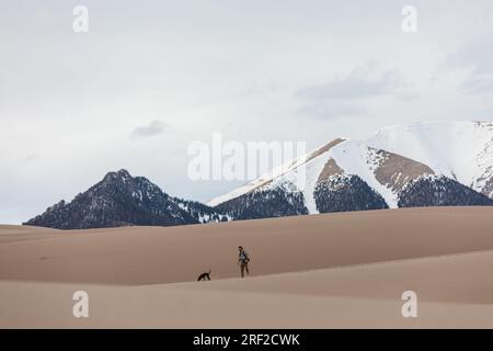 hiker and small dog walk in the great sand dunes under snowy mountains Stock Photo