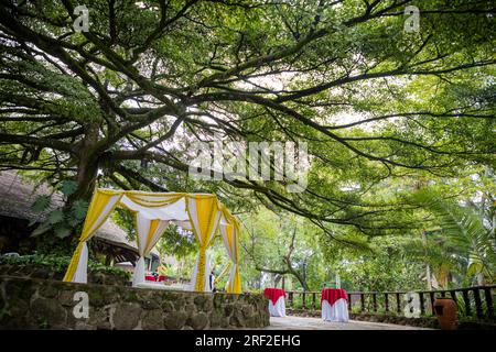 Antony Trivet Weddings Indian Asian Hindu Weddings Photographer At Kenya Landscapes Safari Park Hotel Wedding Venue Gardens Beautiful stunning wedding Stock Photo