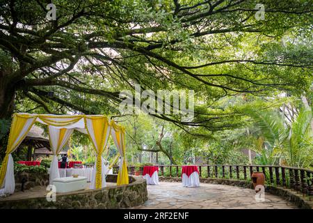 Antony Trivet Weddings Indian Asian Hindu Weddings Photographer At Kenya Landscapes Safari Park Hotel Wedding Venue Gardens Beautiful stunning wedding Stock Photo