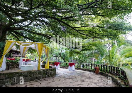 Antony Trivet Weddings Indian Asian Hindu Weddings Photographer At Kenya Landscapes Safari Park Hotel Wedding Venue Gardens Beautiful stunning wedding Stock Photo