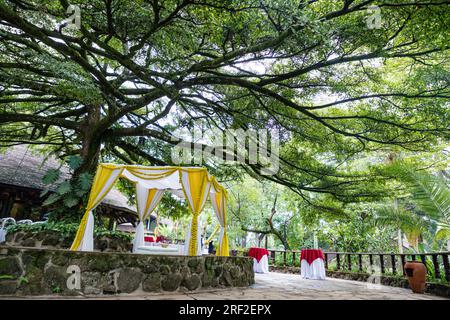 Antony Trivet Weddings Indian Asian Hindu Weddings Photographer At Kenya Landscapes Safari Park Hotel Wedding Venue Gardens Beautiful stunning wedding Stock Photo