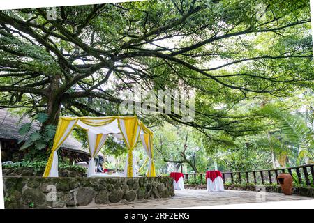 Antony Trivet Weddings Indian Asian Hindu Weddings Photographer At Kenya Landscapes Safari Park Hotel Wedding Venue Gardens Beautiful stunning wedding Stock Photo