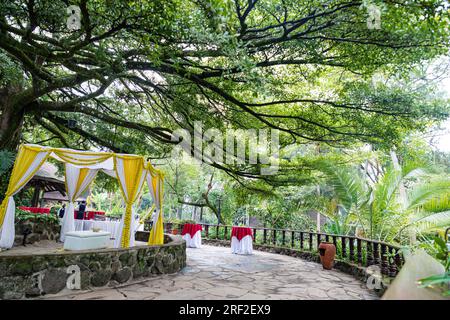 Antony Trivet Weddings Indian Asian Hindu Weddings Photographer At Kenya Landscapes Safari Park Hotel Wedding Venue Gardens Beautiful stunning wedding Stock Photo