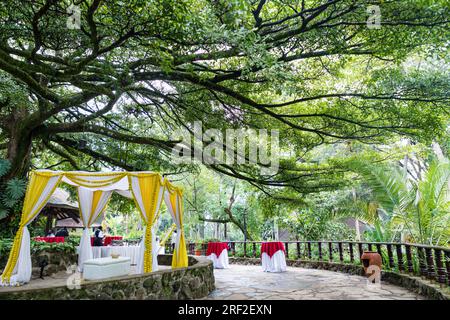 Antony Trivet Weddings Indian Asian Hindu Weddings Photographer At Kenya Landscapes Safari Park Hotel Wedding Venue Gardens Beautiful stunning wedding Stock Photo