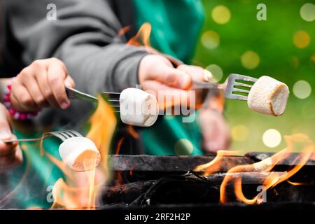 Around the campfire. Delicious and sweet jelly marshmallows on fork over the bonfire. Toasting Marshmallow Stock Photo