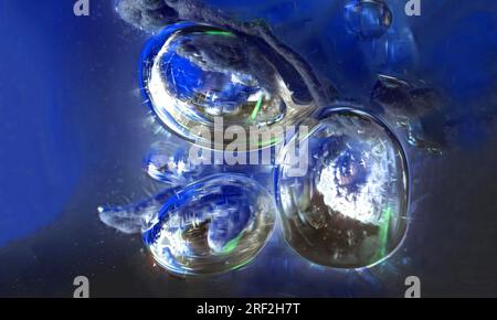 air bubbles at a leaf in water Stock Photo