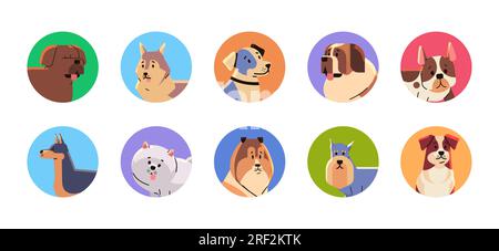 Happy national dog day greeting card set different cute doggy holiday of domestic animals concept Stock Vector