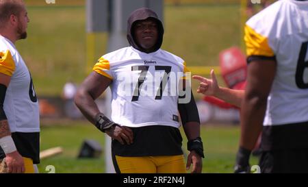 Latrobe, USA. 30th July, 2023. July 30th, 2023: Darnell Washington #80  during the Pittsburgh Steelers training camp in Latrobe, PA. Jason  Pohuski/CSM/Sipa USA(Credit Image: © Jason Pohuski/Cal Sport Media/Sipa  USA) Credit: Sipa