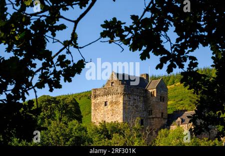 a view of the Campbell Castle surrounded by foliage in Glen Dollar, Scotland Stock Photo